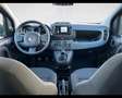Fiat Panda 1.0 Hybrid 70cv Grigio - thumbnail 14