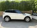Land Rover Range Rover Evoque 2.2 190 SD4 Dynamic Blanc - thumbnail 19