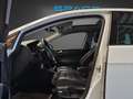 Volkswagen Golf Sky 2,0 BMT TDI DPF Weiß - thumbnail 17