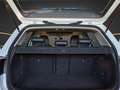 Volkswagen Golf Sky 2,0 BMT TDI DPF Weiß - thumbnail 24