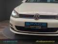 Volkswagen Golf Sky 2,0 BMT TDI DPF Weiß - thumbnail 4