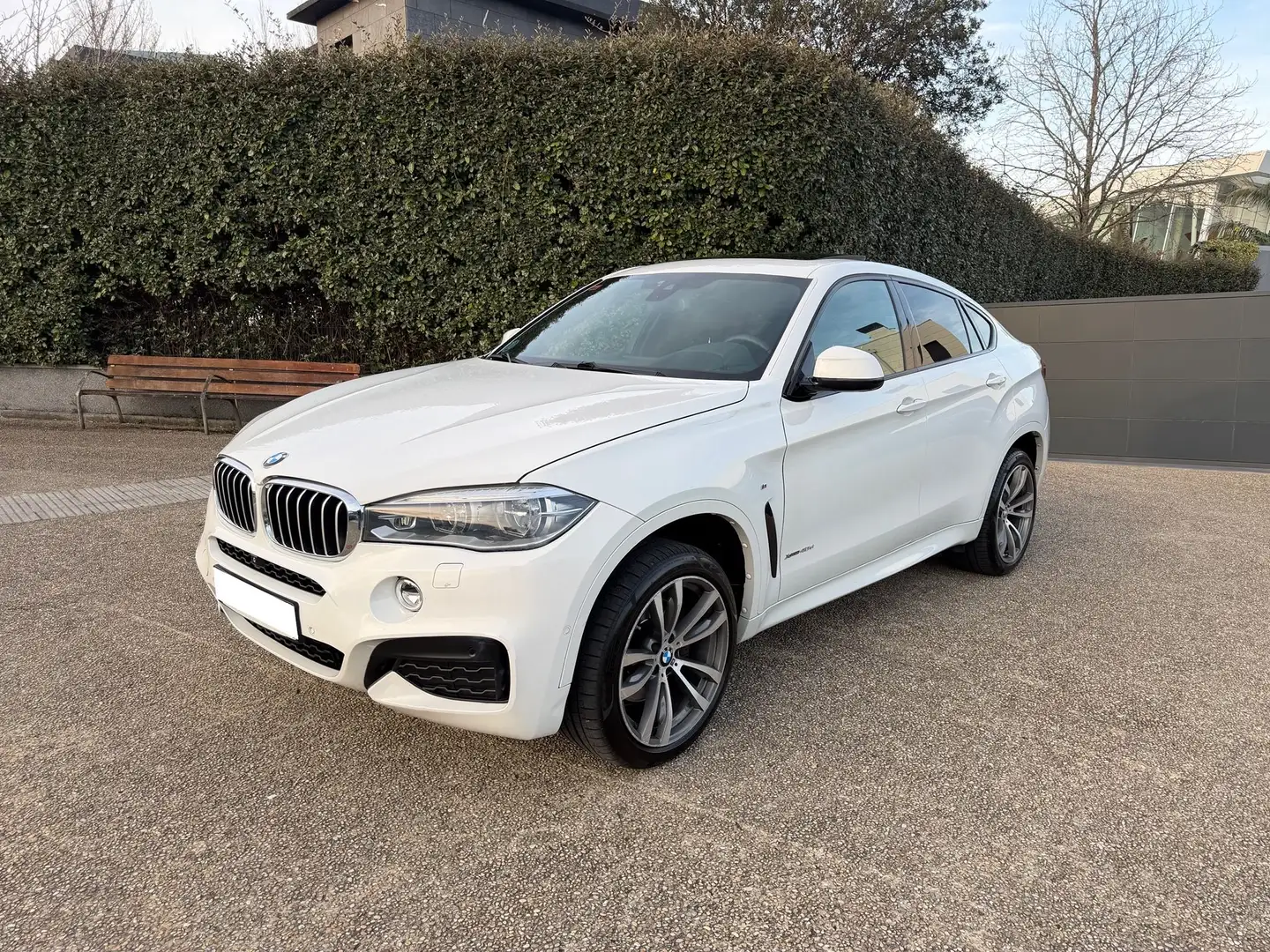 BMW X6 - 1