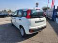 Fiat Panda 1.0 FireFly S&S Hybrid City ICON Blanc - thumbnail 7