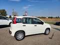 Fiat Panda 1.0 FireFly S&S Hybrid City ICON Blanc - thumbnail 5