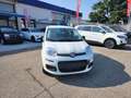 Fiat Panda 1.0 FireFly S&S Hybrid City ICON Blanc - thumbnail 2