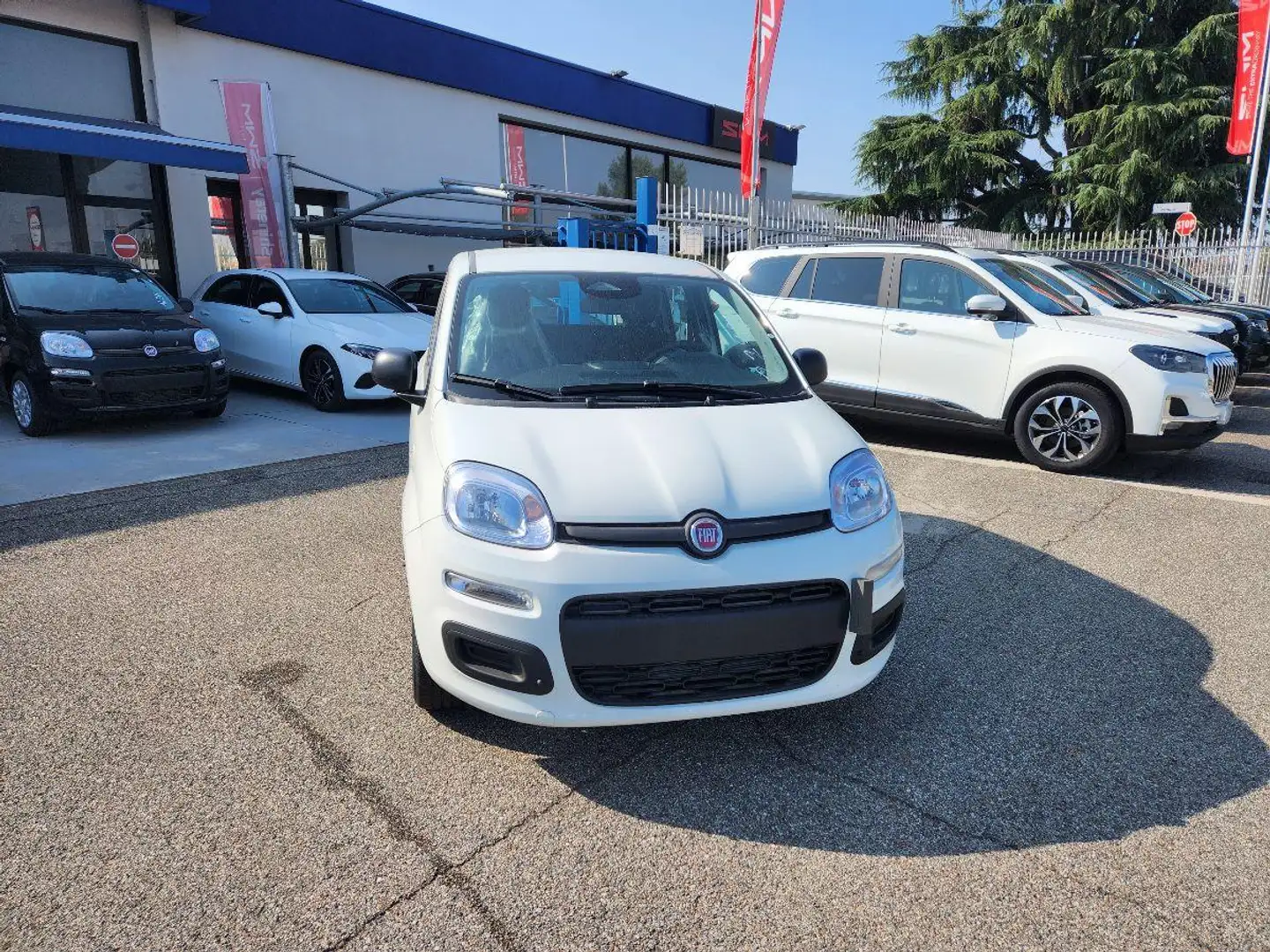 Fiat Panda 1.0 FireFly S&S Hybrid City ICON Weiß - 2