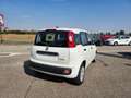 Fiat Panda 1.0 FireFly S&S Hybrid City ICON Blanc - thumbnail 6
