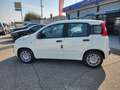 Fiat Panda 1.0 FireFly S&S Hybrid City ICON Blanc - thumbnail 8