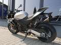 Aprilia Tuono V4 1100 / Factory - 2025 - beide Modelle - thumbnail 17