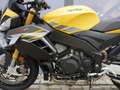 Aprilia Tuono V4 1100 / Factory - 2025 - beide Modelle - thumbnail 26