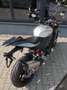 Aprilia Tuono V4 1100 / Factory - 2025 - beide Modelle - thumbnail 23