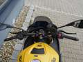 Aprilia Tuono V4 1100 / Factory - 2025 - beide Modelle - thumbnail 27