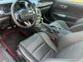 Ford Mustang 5,0 Ti-VCT V8 Mach 1 Aut. Rot - thumbnail 8