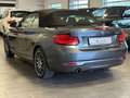 BMW 218 i Advantage Keyless/LED/Vollleder/Harman Grijs - thumbnail 4