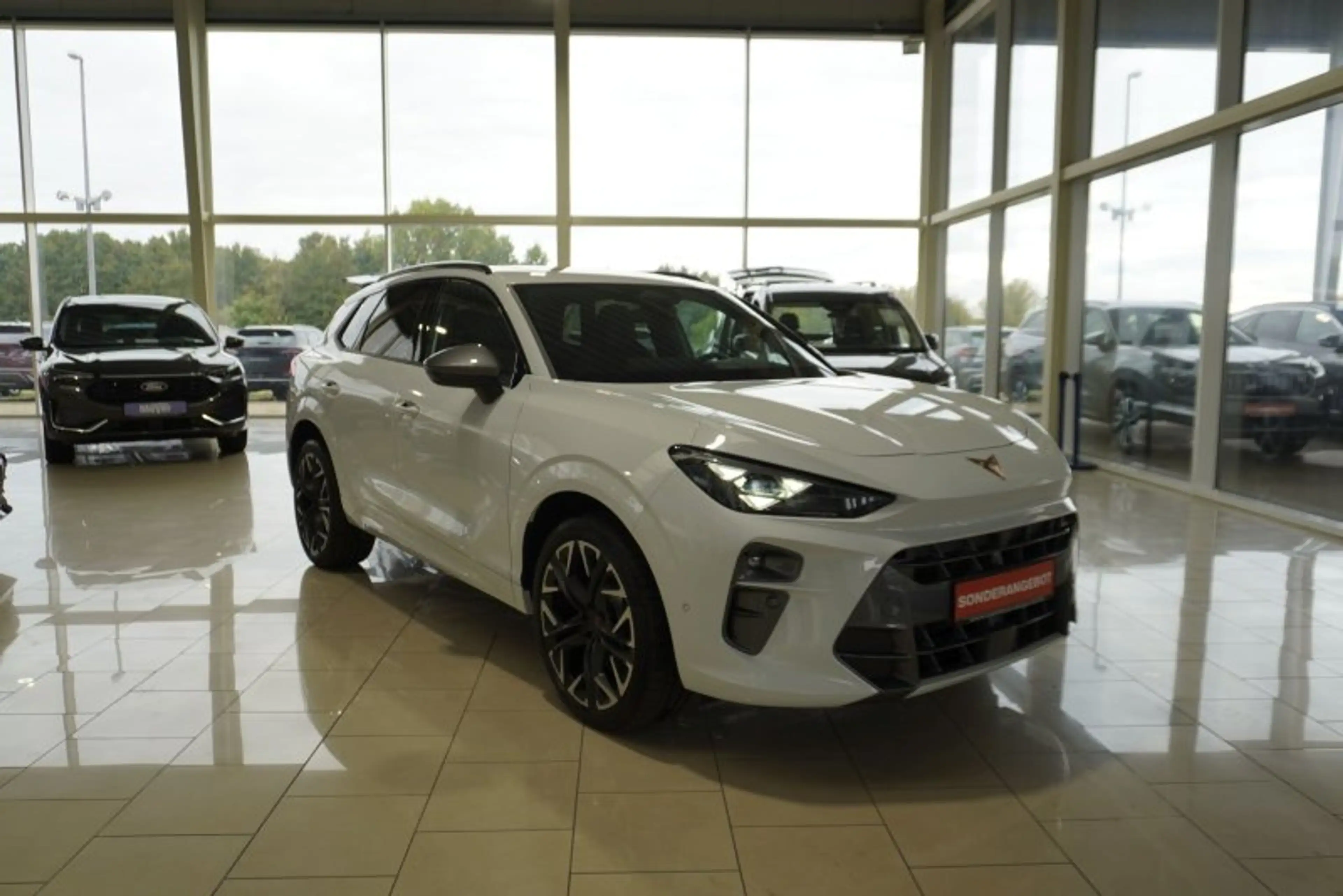 CUPRA Terramar VZ 2,0TSI 265PS 5*J.Gar/AHK/Pano/Matrix      ** — photo 7