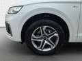 Audi Q5 SUV S line 40 TDI quattro*Einparkhilfe*Pano*M Weiß - thumbnail 13