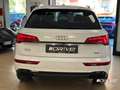 Audi Q5 Q5 40 TDI 204 CV quattro S tronic S line plus - thumbnail 21
