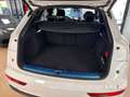 Audi Q5 Q5 40 TDI 204 CV quattro S tronic S line plus - thumbnail 13