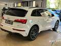 Audi Q5 Q5 40 TDI 204 CV quattro S tronic S line plus - thumbnail 5
