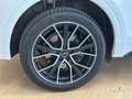 Audi Q5 Q5 40 TDI 204 CV quattro S tronic S line plus - thumbnail 15