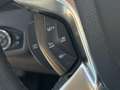 Ford Tourneo Titanium Kein Verkauf an Privat 7-Sitzer Weiß - thumbnail 22