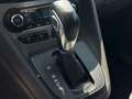Ford Tourneo Titanium Kein Verkauf an Privat 7-Sitzer Weiß - thumbnail 16