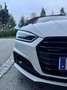 Audi A5 A5 2.0 tdi  quattro s-line Matrix Virtual Weiß - thumbnail 7