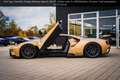 Ford GT HERITAGE EDITION LIMITED Oro - thumbnail 48