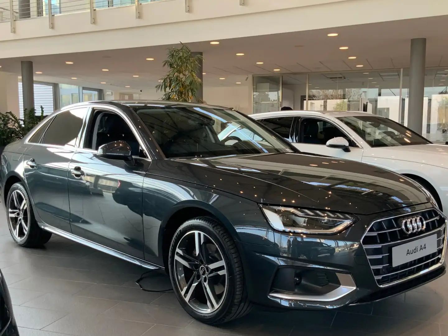 Audi A4 berlina 35 2.0 tdi mhev 163cv business advanced s Grigio - 1