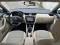 Skoda Octavia Octavia 1.6 TDI 105 ch CR FAP Green Tec Elegance Beige - thumbnail 11