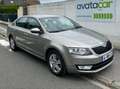 Skoda Octavia Octavia 1.6 TDI 105 ch CR FAP Green Tec Elegance Beige - thumbnail 4