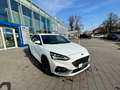 Ford Focus ST Styling/Performance/Techno/Winter-Paket Weiß - thumbnail 3