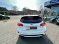 Ford Focus ST Styling/Performance/Techno/Winter-Paket Weiß - thumbnail 16