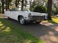 Cadillac Deville Deville 6 CD 47 Cabriolet Weiß - thumbnail 16