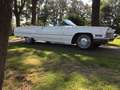 Cadillac Deville Deville 6 CD 47 Cabriolet Weiß - thumbnail 3