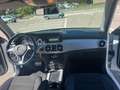 Mercedes-Benz GLK 220 cdi (be) Premium 4matic auto my12 Bianco - thumbnail 10