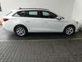 SEAT Leon Reference 1.0 TSI Weiß - thumbnail 4