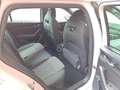 Skoda Octavia Combi Sportline 2,0 TDI  7-Gang-DSG Weiß - thumbnail 13
