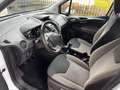 Ford Tourneo Connect *5-Sitze*Klima* Weiß - thumbnail 16