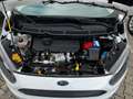 Ford Tourneo Connect *5-Sitze*Klima* Weiß - thumbnail 17