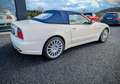 Maserati Spyder - thumbnail 3