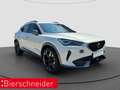 CUPRA Formentor 1.4 e-Hybrid DSG VZ AHK RAER VIEW LED Weiß - thumbnail 12