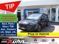 Ford Kuga 2.5 PHEV ST-LINE - iACC, Glasd., Allw., LED, TW Schwarz - thumbnail 1
