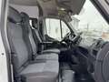 Renault Master Renault Master mit weniger 58,000 TKM - thumbnail 13