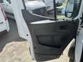 Ford Transit 2.0 EcoBlue 130 Trend L2H2 - thumbnail 19