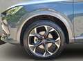 CUPRA Formentor 1.5 TSI OPF Grau - thumbnail 20