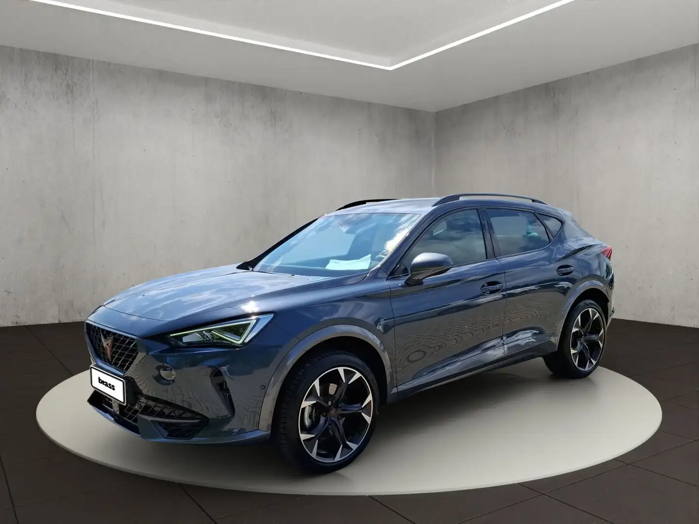 CUPRA Formentor 1.5 TSI OPF Grau - 1