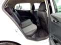 Skoda Fabia 1.0 TSI Selection LED Sitzhzg. Klimaautomatik Weiß - thumbnail 9
