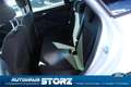 Ford Focus Turnier Business BUSINESS PAKET|SICHT PAKET|KLIMAA Blanc - thumbnail 11