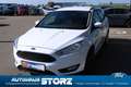 Ford Focus Turnier Business BUSINESS PAKET|SICHT PAKET|KLIMAA Blanc - thumbnail 7
